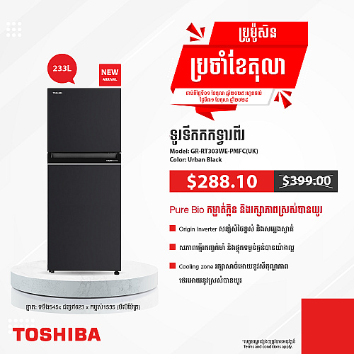 Toshiba Refrigerator (Inverter,Double door,233L)